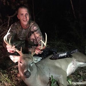 Meet your Posher, Dakota